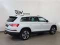 Skoda Kodiaq 2,0 TDI DSG Faceliftmodell ACC AHK Travel Assist H Weiß - thumbnail 10