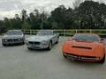 Maserati SEBRING 3700 AUTO DA CONCORSO UNICA.... Grigio - thumbnail 5