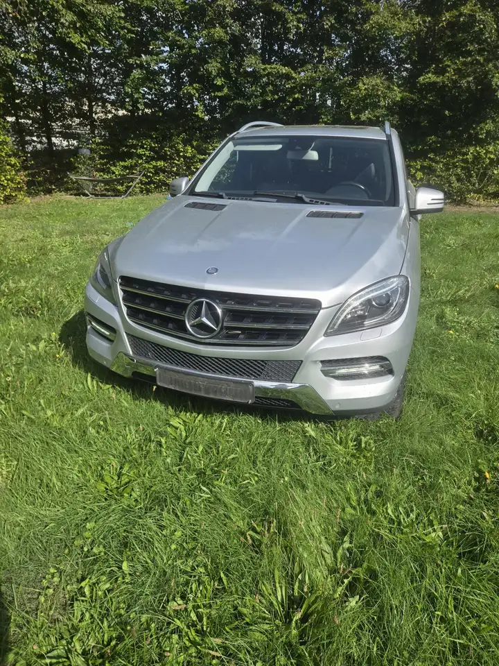 Mercedes-Benz ML 250