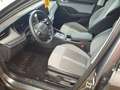 Skoda Octavia Selection 1.5 eTSI DSG / Navi, 360°, AHK Grau - thumbnail 8