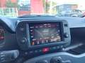 Fiat Panda Panda III 2021 Cross 1.0 firefly hybrid (Red) s Rouge - thumbnail 14