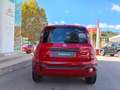 Fiat Panda Panda III 2021 Cross 1.0 firefly hybrid (Red) s Rouge - thumbnail 11