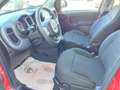 Fiat Panda Panda III 2021 Cross 1.0 firefly hybrid (Red) s Rouge - thumbnail 13