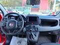 Fiat Panda Panda III 2021 Cross 1.0 firefly hybrid (Red) s Rouge - thumbnail 3