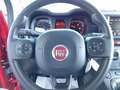 Fiat Panda Panda III 2021 Cross 1.0 firefly hybrid (Red) s Rouge - thumbnail 7