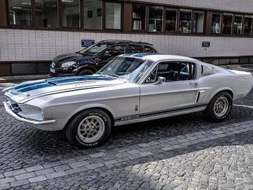 Shelby GT 500 Fastback