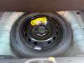 Fiat Panda Panda Cross 1.0 hybrid 70cv Cross Verde - thumbnail 6