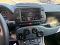 Fiat Panda Panda Cross 1.0 hybrid 70cv Cross Verde - thumbnail 11
