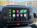Fiat Panda Panda Cross 1.0 hybrid 70cv Cross Verde - thumbnail 12