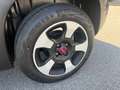 Fiat Panda Panda Cross 1.0 hybrid 70cv Cross Verde - thumbnail 3