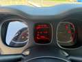 Fiat Panda Panda Cross 1.0 hybrid 70cv Cross Verde - thumbnail 10