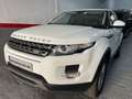 Land Rover Range Rover Evoque 2.2L TD4 Prestige 4x4 Aut. Blanc - thumbnail 2