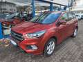 Ford Kuga ST-Line Rot - thumbnail 3