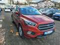 Ford Kuga ST-Line Rot - thumbnail 1