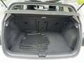 Volkswagen Golf Life 1,5 TSI ACT /Matrix-LED/ACC/Navi Wit - thumbnail 20