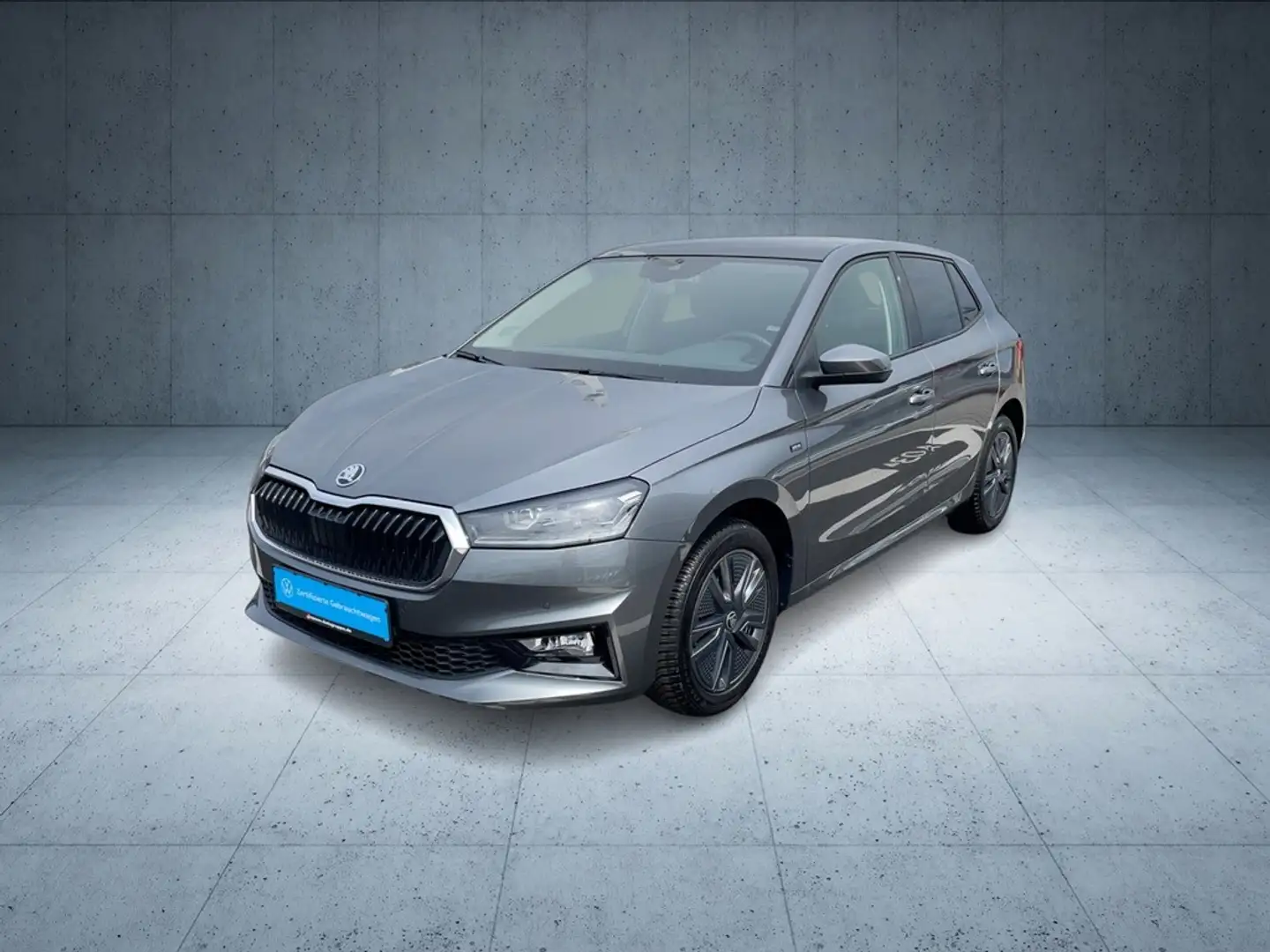 Skoda Fabia Selection 1.0 TSI DSG Pano+ACC+FLA+SpurH Gris - 2