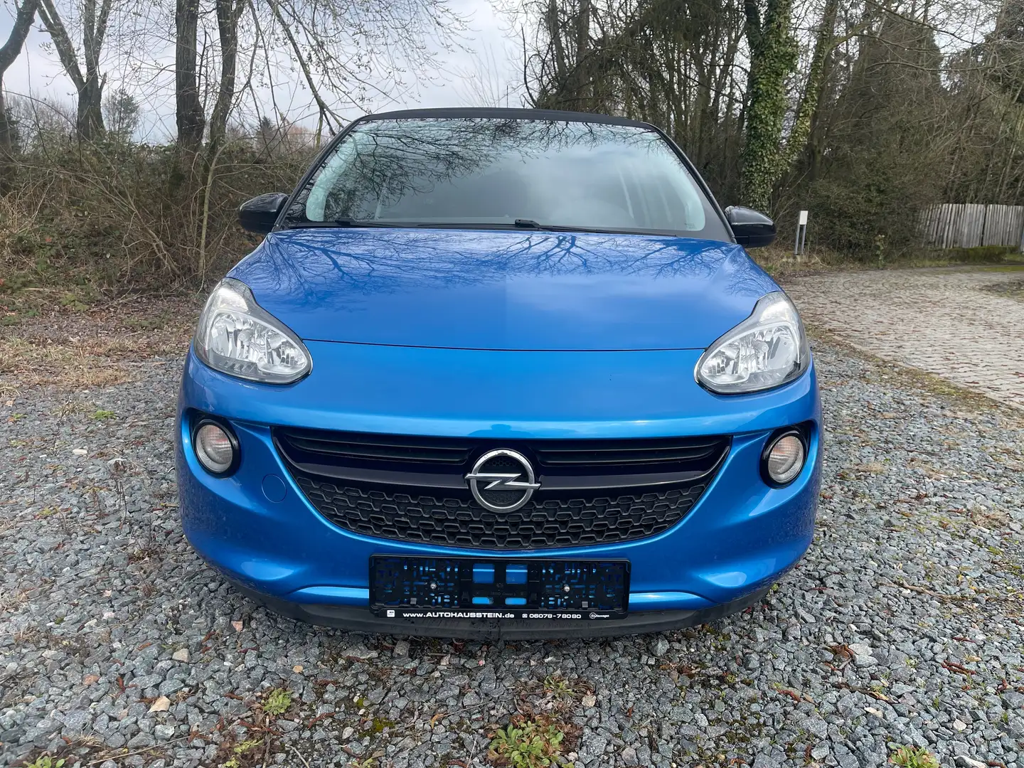 Opel Adam Open Air. 8-fach bereift Teilleder Niebieski - 1