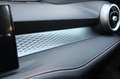 Alfa Romeo Tonale 1.6 diesel 130 CV TCT6 Sprint MY 25 Nero - thumbnail 24