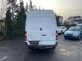 Mercedes-Benz Sprinter 213 CDI  aus 1-Hand L2 H2 HU/AU NEU! Bianco - thumbnail 4