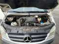 Mercedes-Benz Sprinter 213 CDI  aus 1-Hand L2 H2 HU/AU NEU! Bianco - thumbnail 13