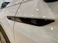 Volkswagen Tiguan 2.0TDI R-Line 4Motion DSG 110kW Blanco - thumbnail 10