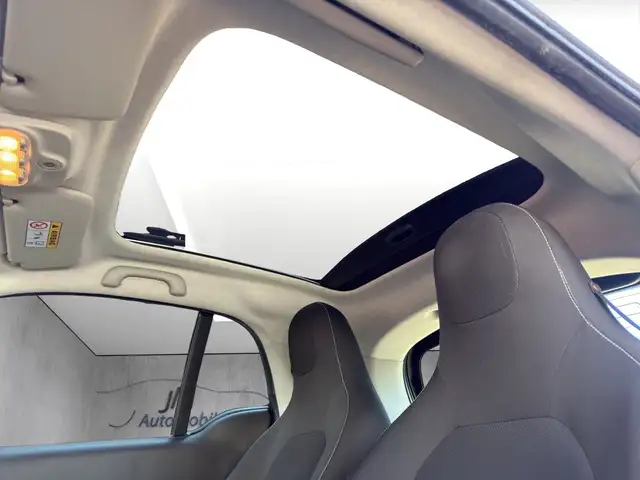 Smart Fortwo view 14