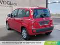 Fiat Panda PANDINA MY26 ICON Rot - thumbnail 3