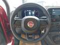 Fiat Panda PANDINA MY26 ICON Rot - thumbnail 12