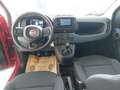 Fiat Panda PANDINA MY26 ICON Rot - thumbnail 4