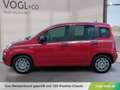 Fiat Panda PANDINA MY26 ICON Rot - thumbnail 2