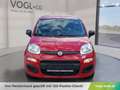 Fiat Panda PANDINA MY26 ICON Rot - thumbnail 6