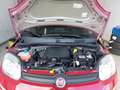Fiat Panda PANDINA MY26 ICON Rot - thumbnail 19