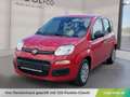 Fiat Panda PANDINA MY26 ICON Rot - thumbnail 1