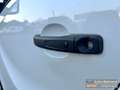 Renault Trafic Kasten L1H1 2,7t Komfort neue Ganzjahresreifen Weiß - thumbnail 9