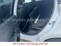 Renault Clio IV Cargo Extra/2 Sitzer Weiß - thumbnail 14