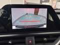 Lexus UX 250h 2.0 Business Gris - thumbnail 20
