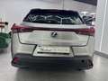 Lexus UX 250h 2.0 Business Gris - thumbnail 6
