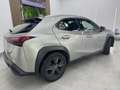 Lexus UX 250h 2.0 Business Gris - thumbnail 7