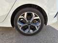 Kia Ceed / cee'd 1.6 CRDI Eco-Dynamics Business DCT 136 Weiß - thumbnail 15