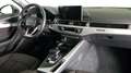 Audi A4 allroad 40 2.0 tdi mhev Business Evolution quattro 204cv Gri - thumbnail 6