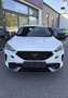 CUPRA Formentor 2,0 TDI 4Drive Cupra DSG Memory Sportsitze Weiß - thumbnail 2