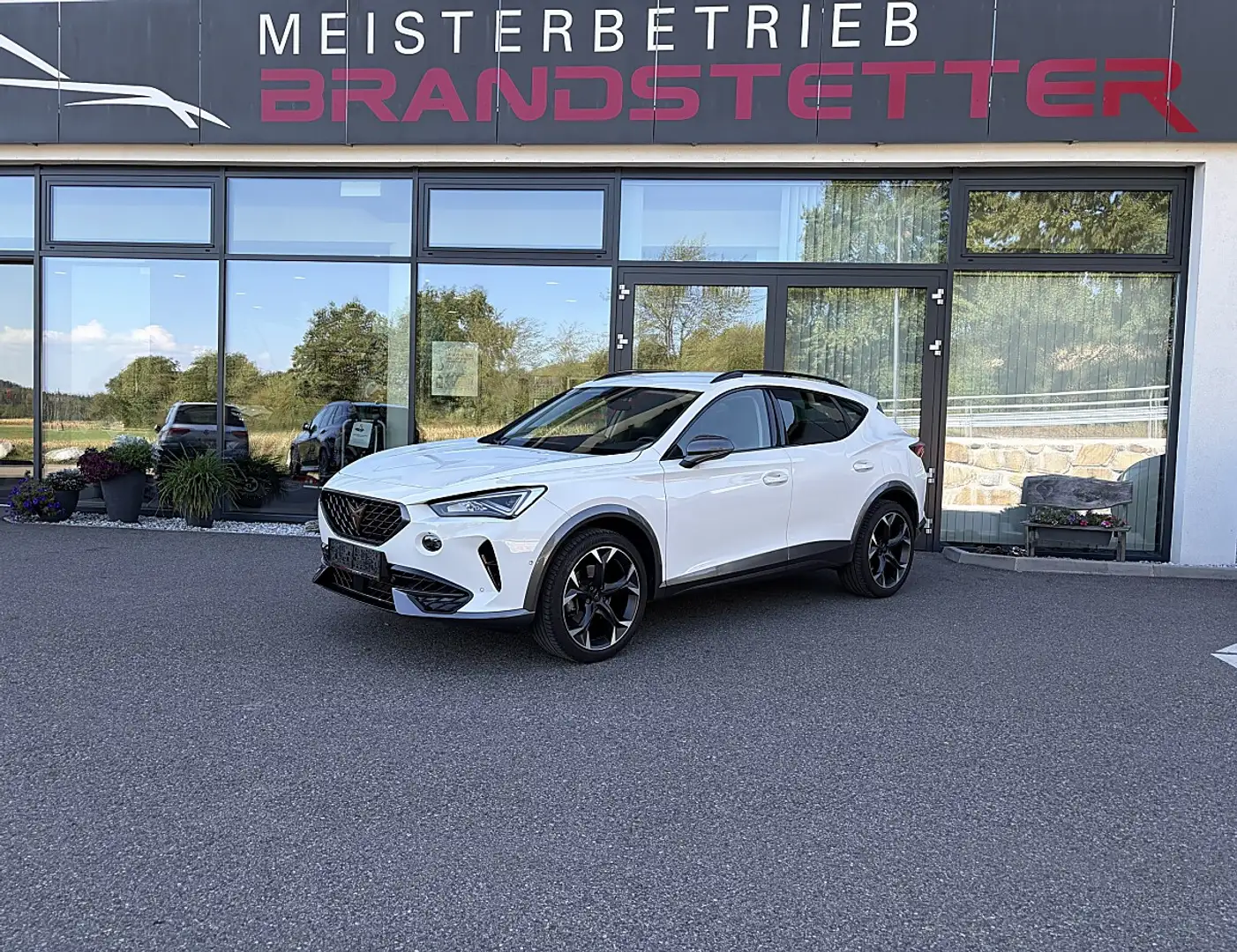 CUPRA Formentor 2,0 TDI 4Drive Cupra DSG Memory Sportsitze Weiß - 1
