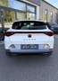 CUPRA Formentor 2,0 TDI 4Drive Cupra DSG Memory Sportsitze Weiß - thumbnail 4