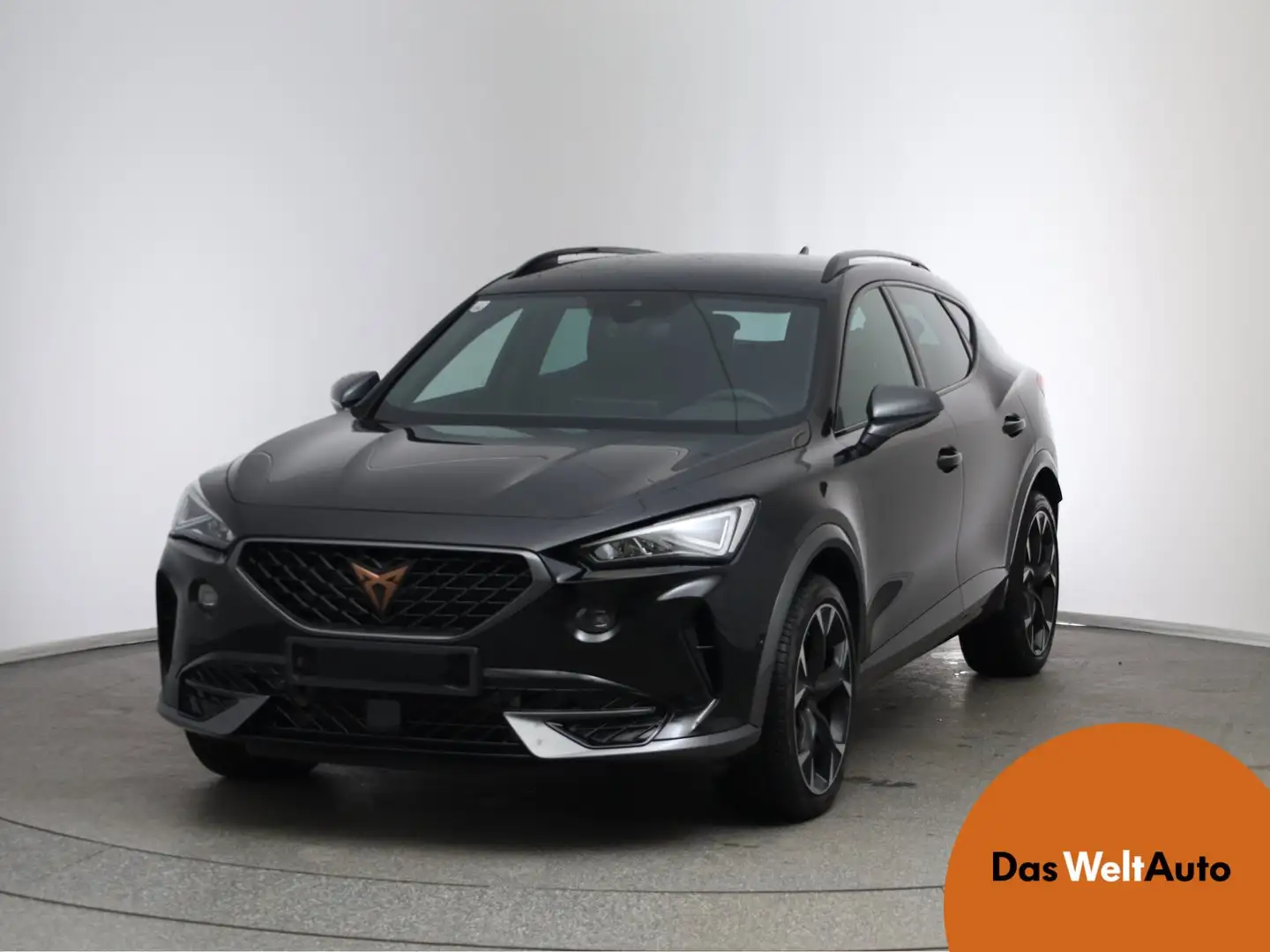 CUPRA Formentor TRIBE 2.0 TSI DSG 4Drive Negro - 1