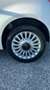 Fiat 500 500 1.3 mjt 16v Lounge 95cv Bianco - thumbnail 5