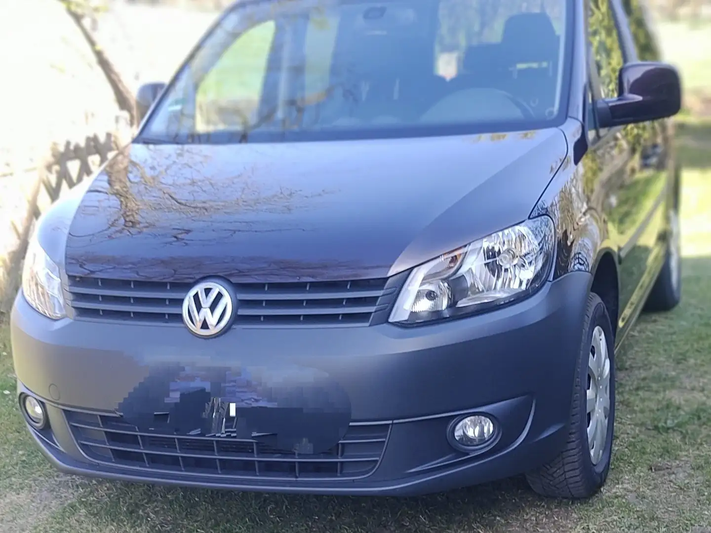 Volkswagen Caddy Roncalli Trendline Violet - 1