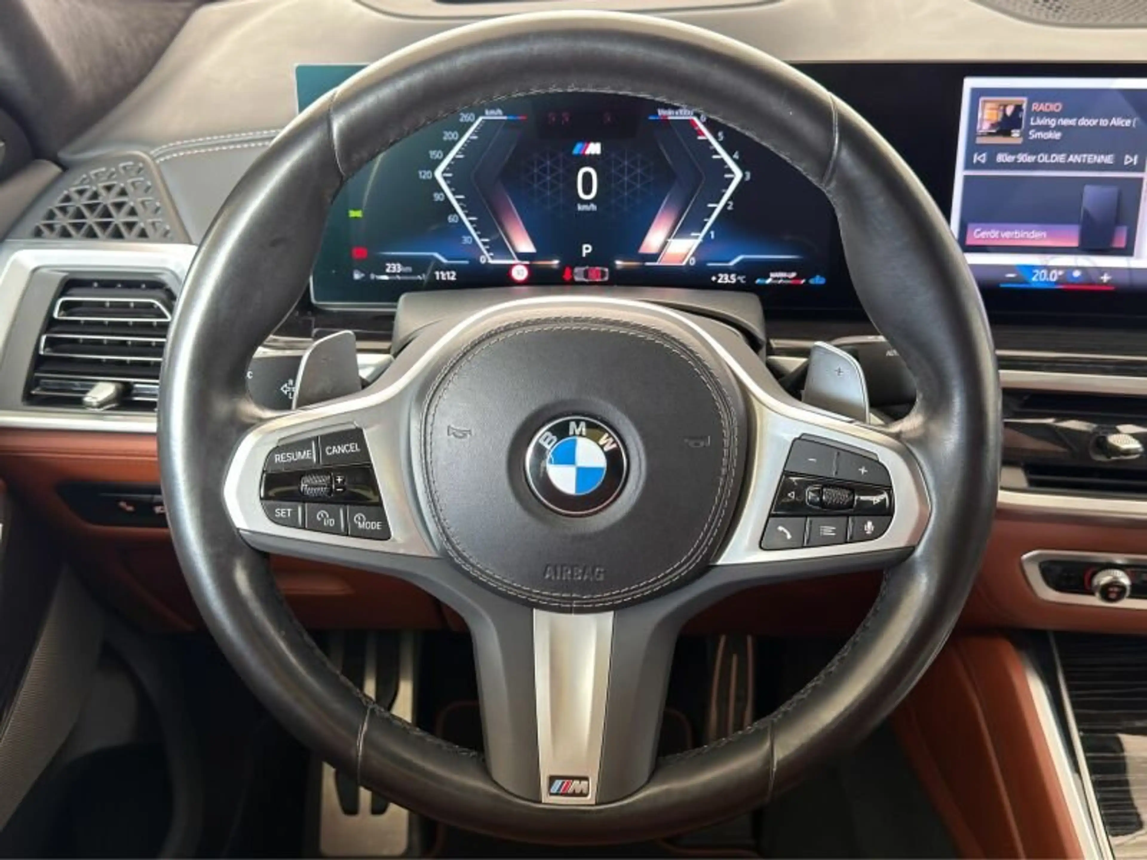 BMW X6 xDrive30d M Sport LED+/MASS/GEST/hk/HUD/PANO — photo 11