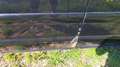 Volkswagen T5 Multivan DPF Sport Edition (7-Si.) - thumbnail 5