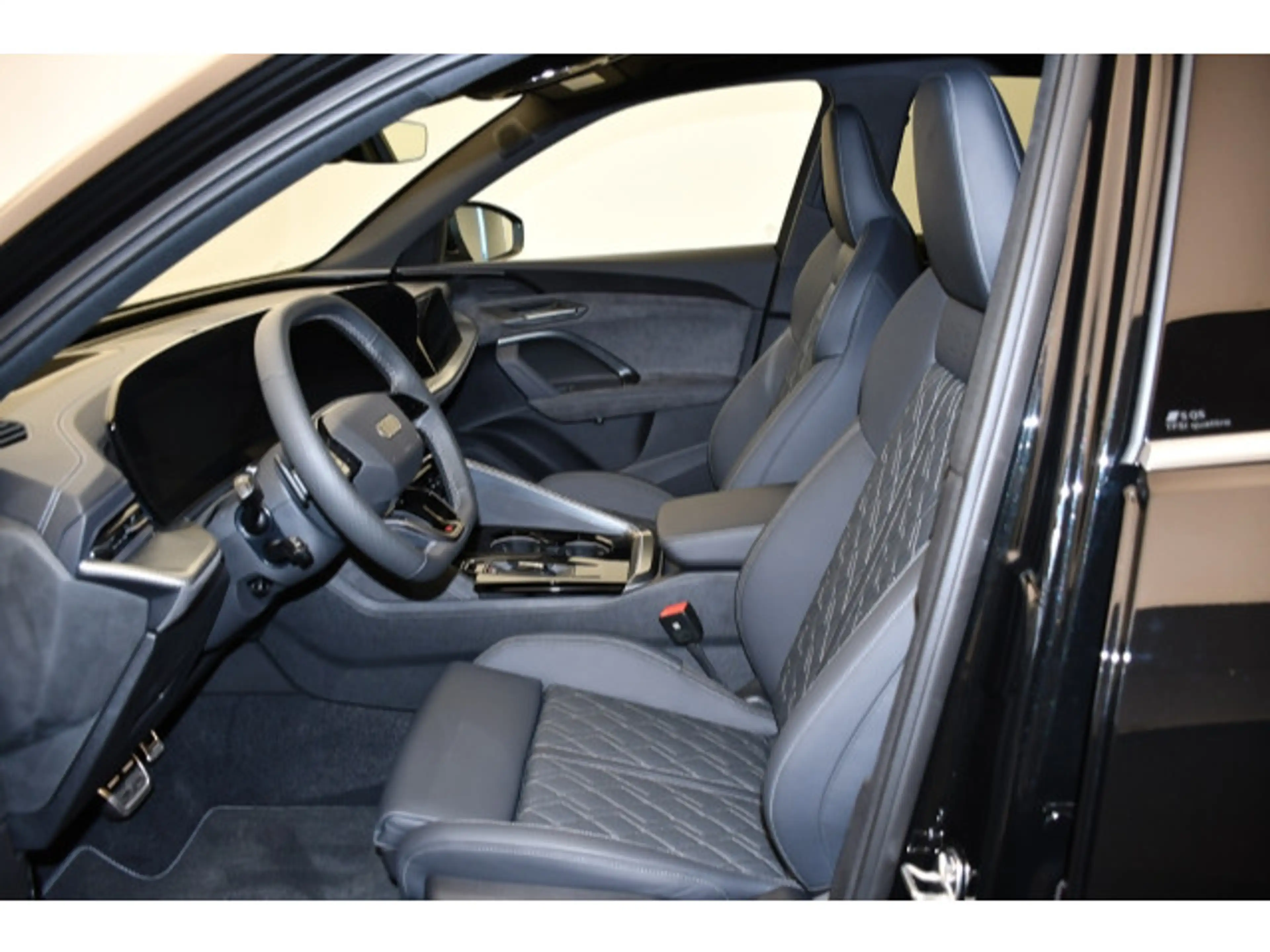 Audi SQ5 TFSI S tronic — photo 4