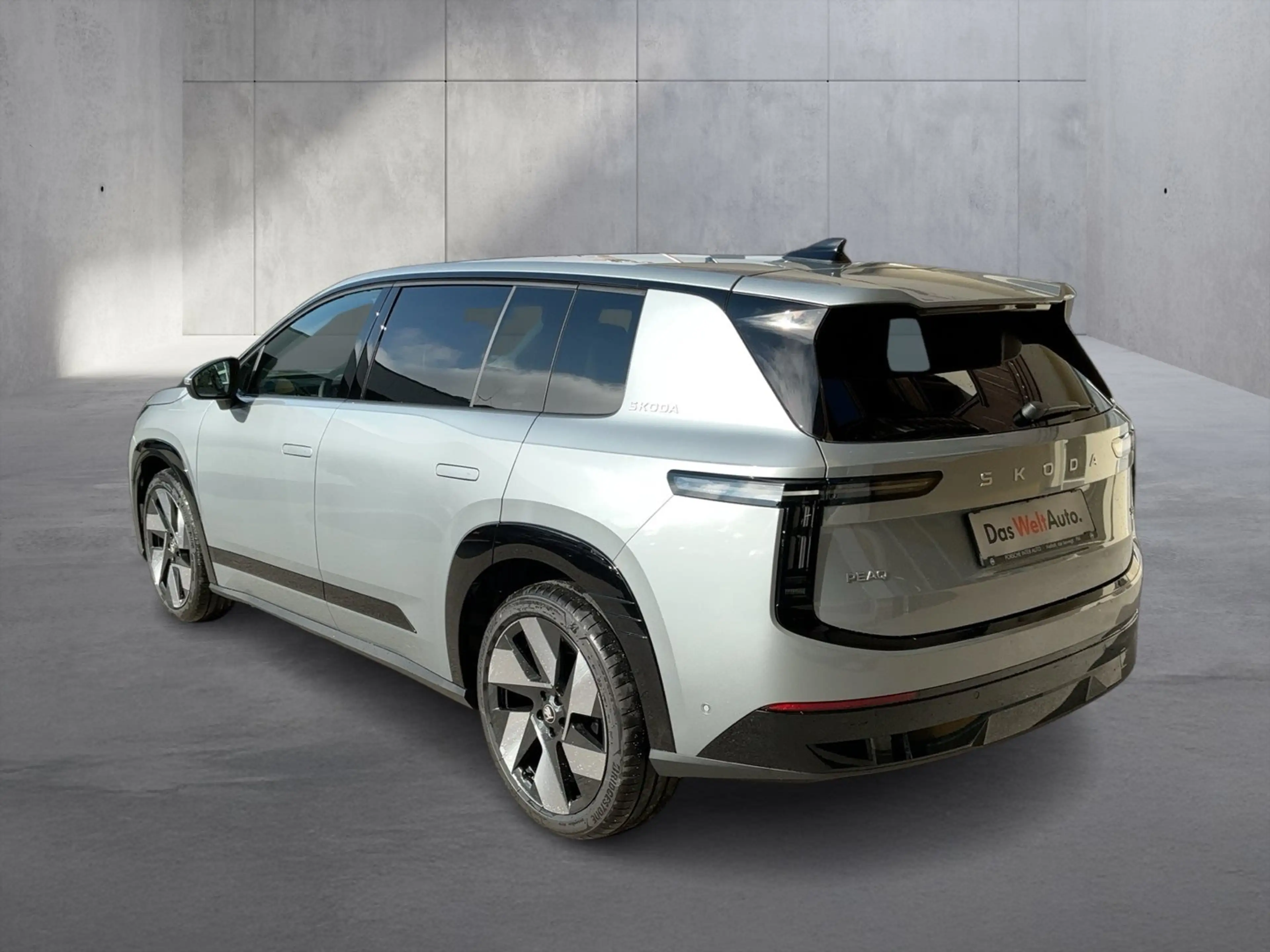 Skoda Peaq Selection 90x — photo 3